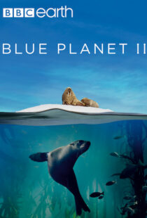 دانلود مستند Blue Planet II100194-2092353811