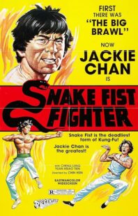 دانلود فیلم Snake Fist Fighter 1973388650-1013656652