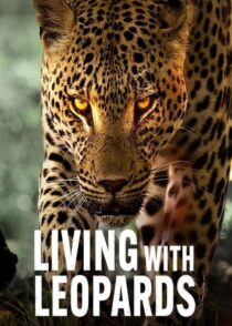 دانلود مستند Living with Leopards 2024400477-835054435